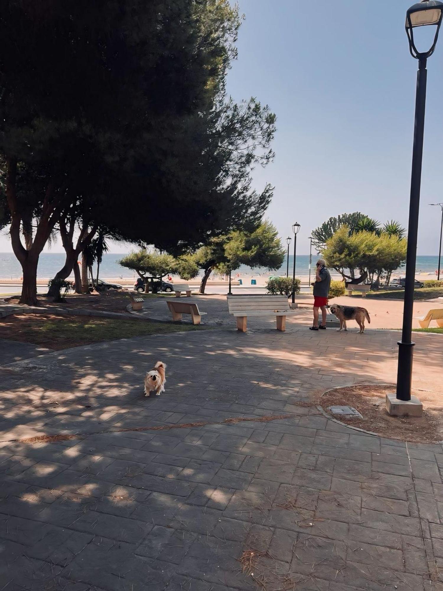 50 Pasos Hacia El Mar Διαμέρισμα El Campello Εξωτερικό φωτογραφία